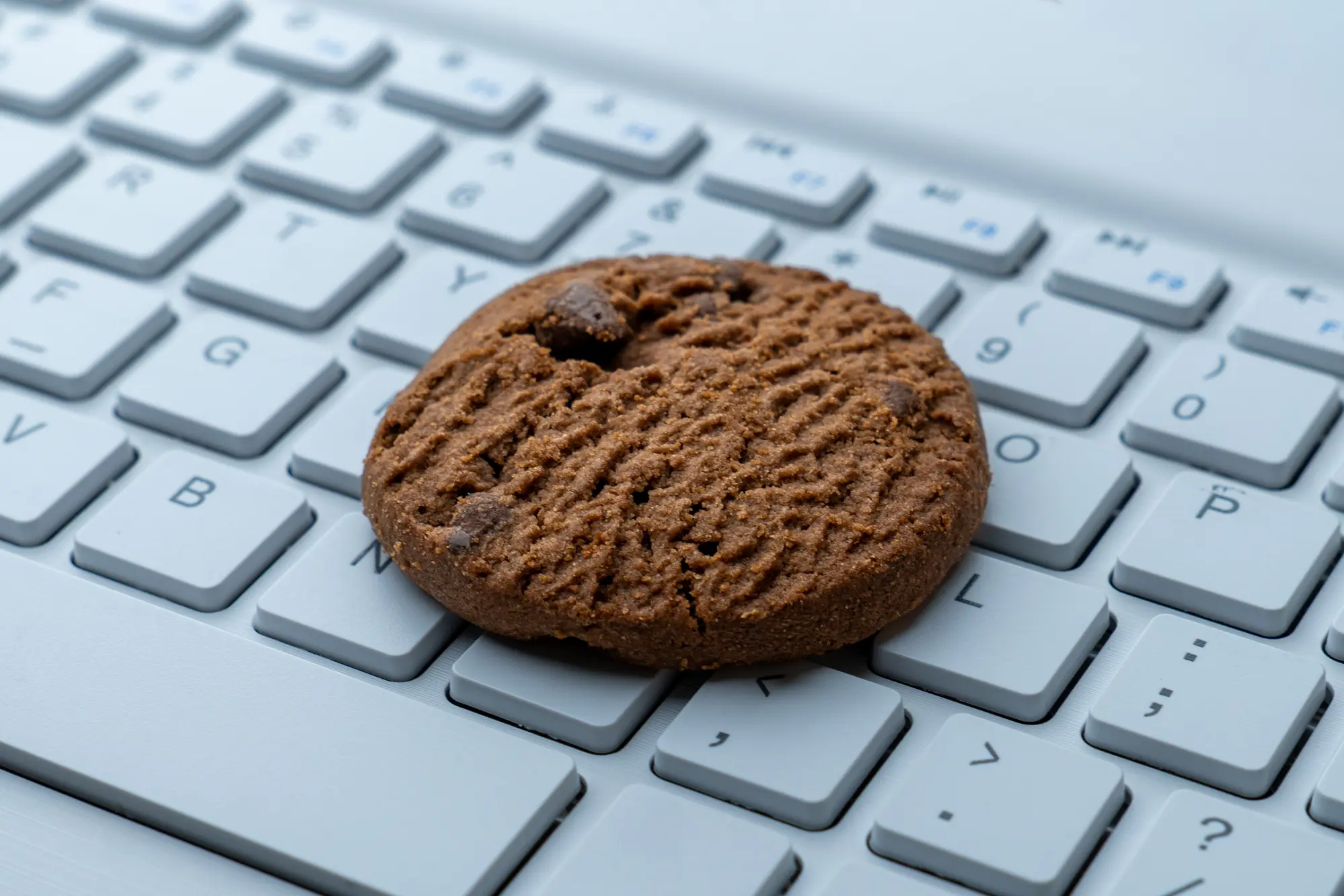 cookie